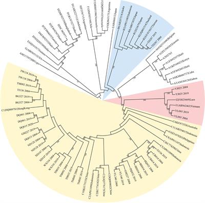 Low host immune pressure may be associated with the development of hepatocellular carcinoma: a longitudinal analysis of complete genomes of the HBV 1762T, 1764A mutant